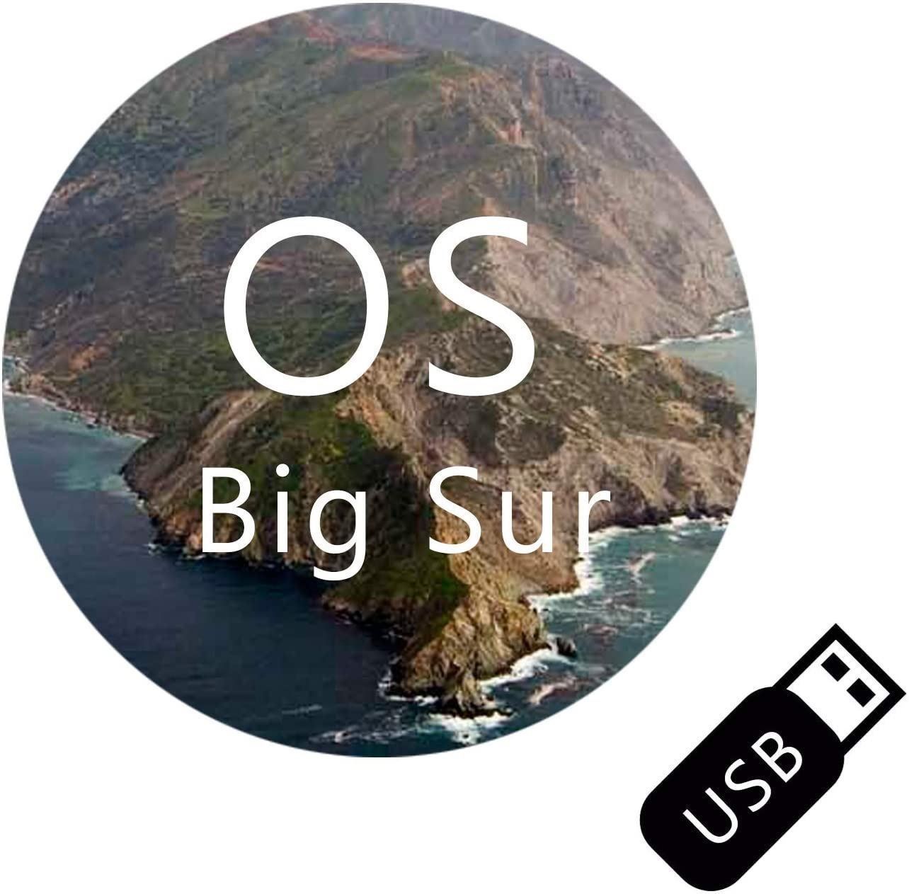 MacOS Big Sur 11.1 auf USB-Stick Install